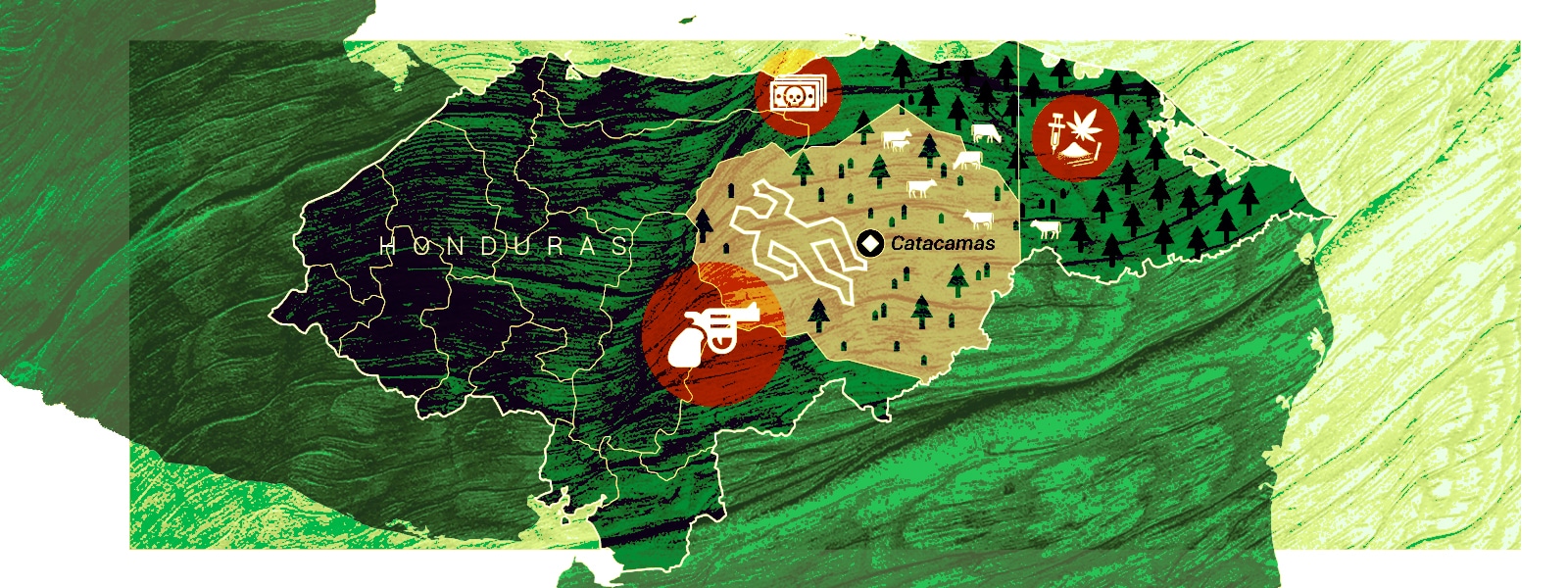 The Logging Barons of Catacamas, Honduras